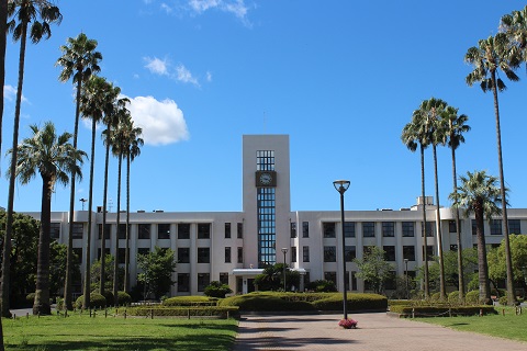 大阪市立大学