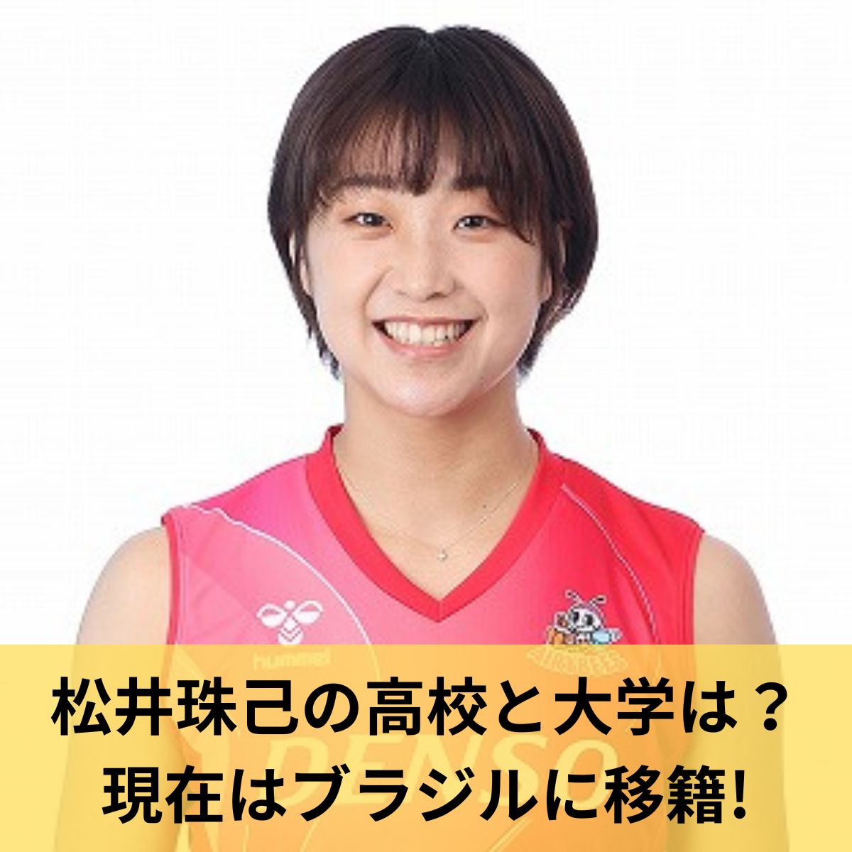 松井珠己