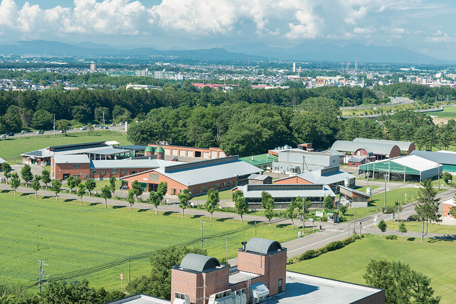 酪農学園大学