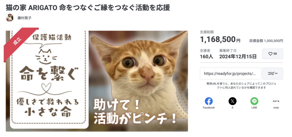 保護猫カフェのクラウドファンディング