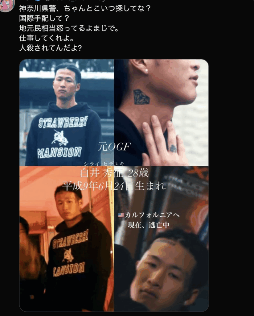 白井秀征容疑者